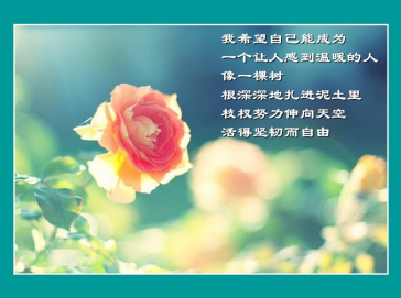 微信图片_20240108181552.png